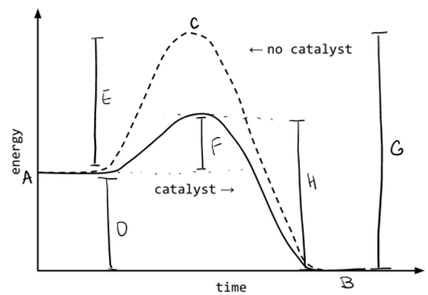 Reaction progression energy diagram showing activation energies for catalyzed and uncatalyzed forward and reverse reactions